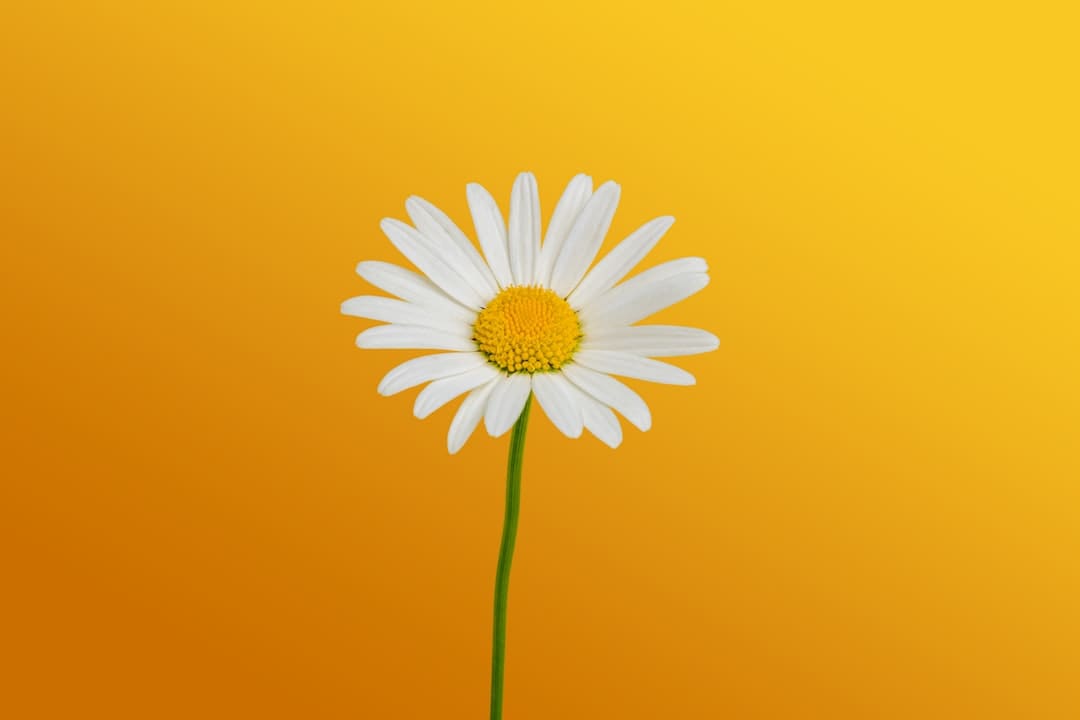 http://n.sinaimg.cn/news/transform/w600h400/20180308/5c8Y-fxpwyhv7520435.jpg?zdy